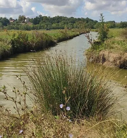 De La Ramee Nyaraló *