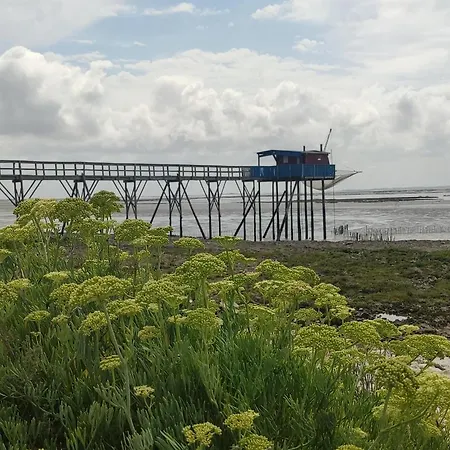 De La Ramee Nyaraló Bords