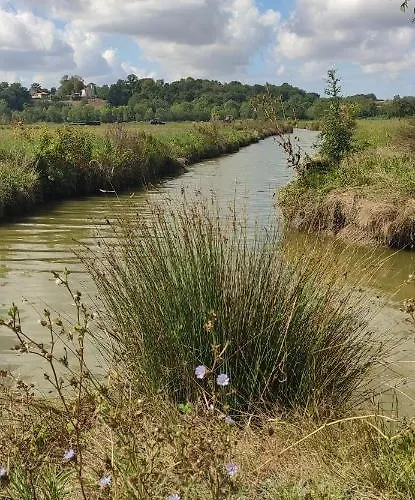 De La Ramee بيت للعطل *